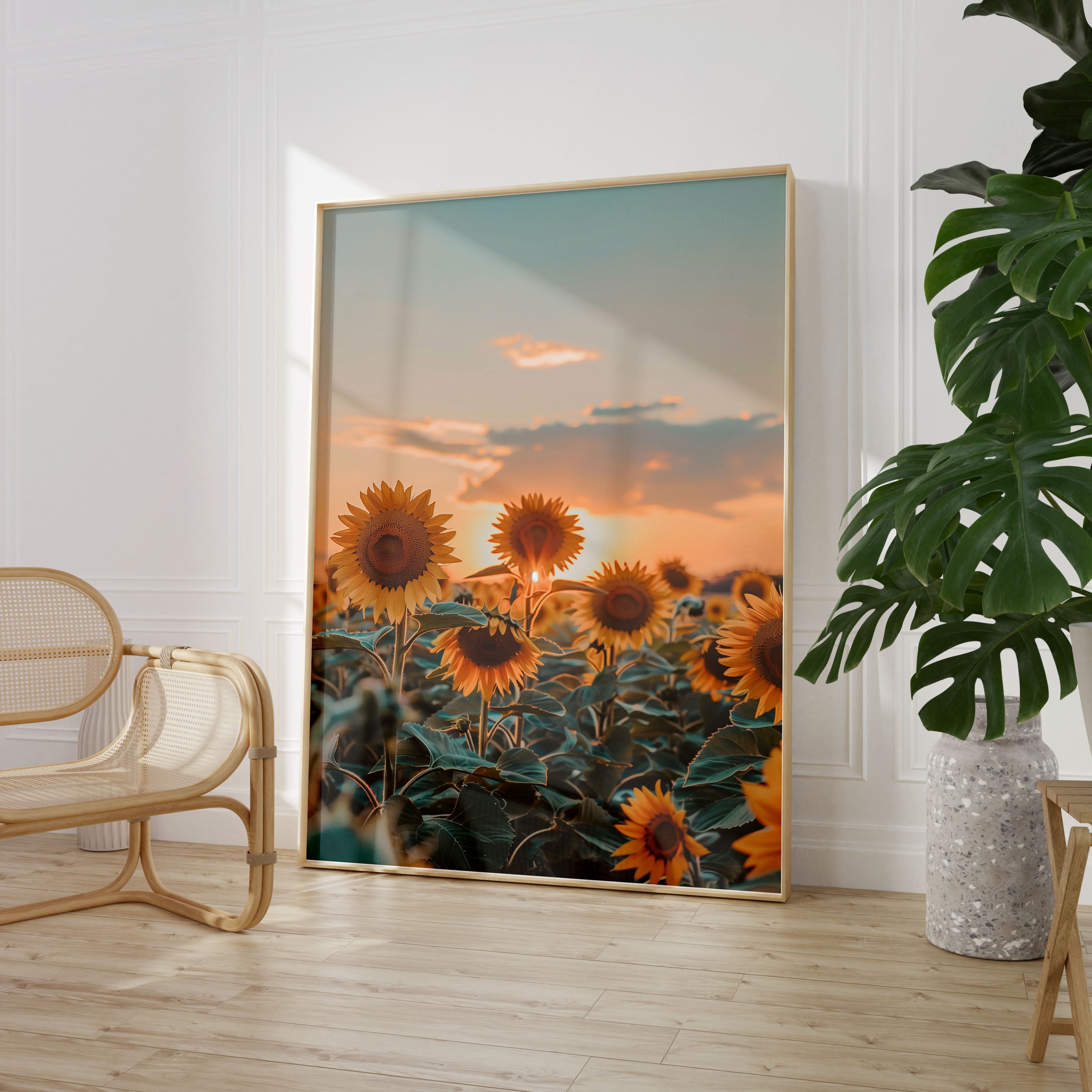 Set of 3 Flower Sunset Photos Poster Print