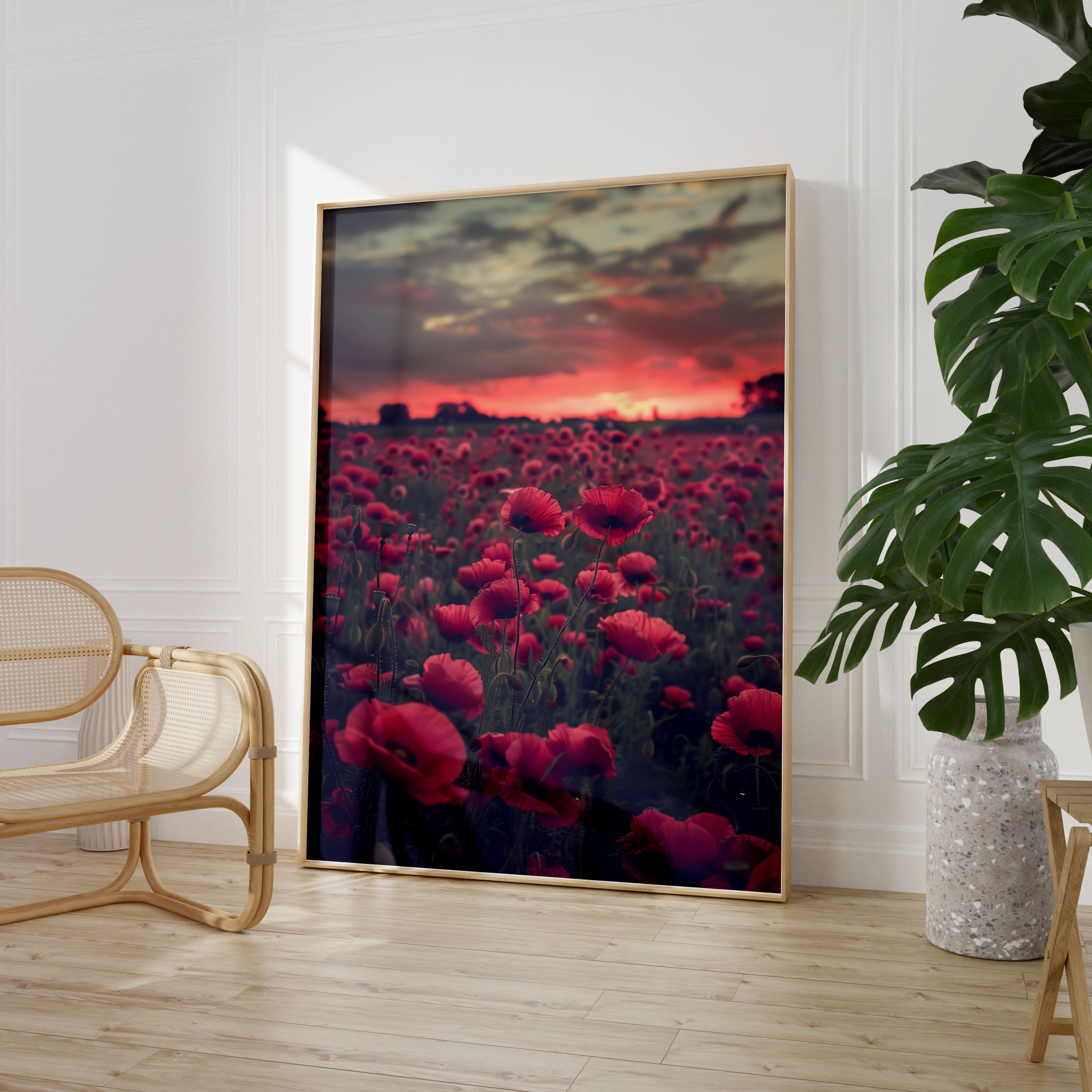 Set of 3 Poppy Sunset Photos Poster Print