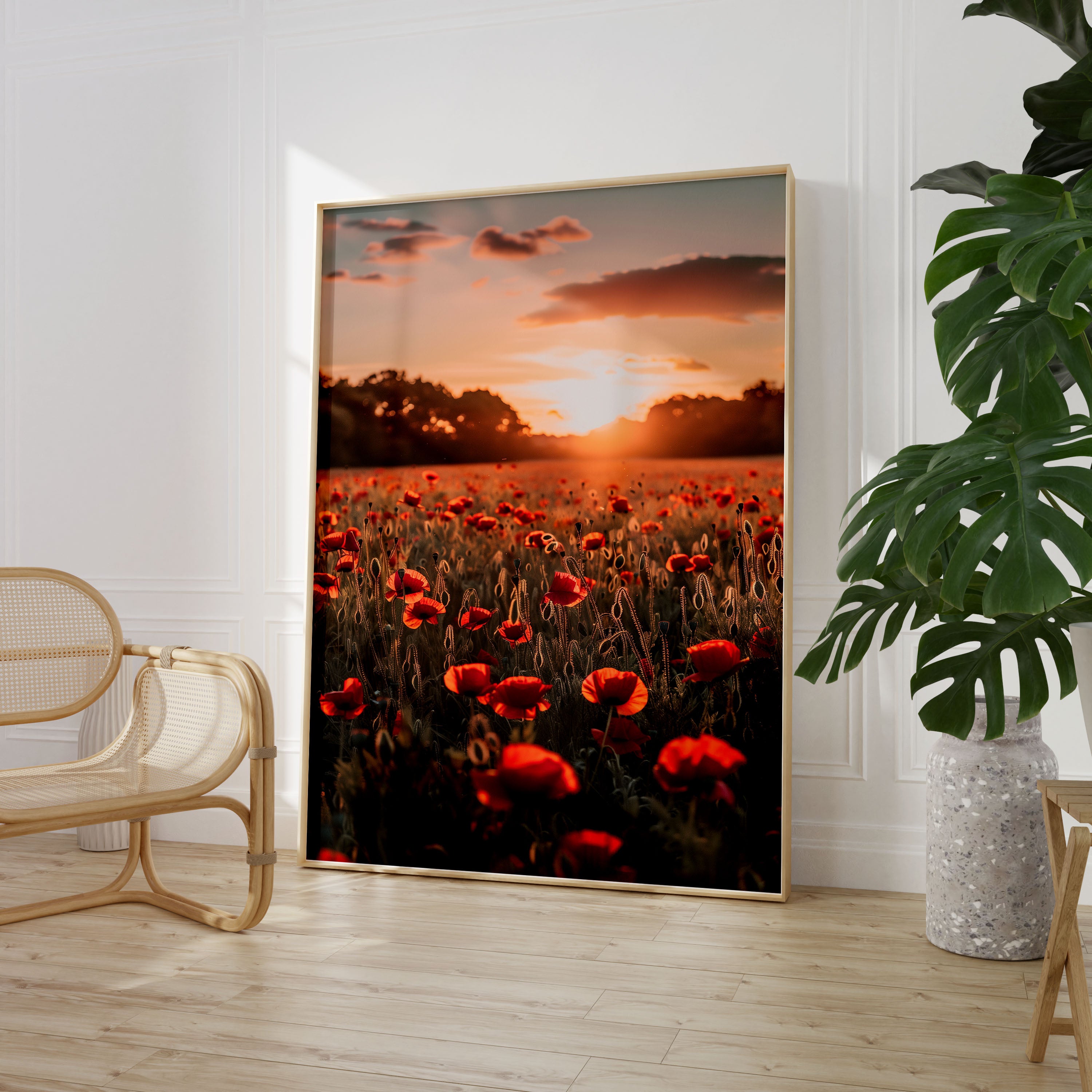 Set of 3 Poppy Sunset Photos Poster Print